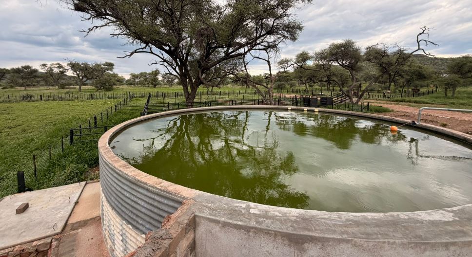 Regenerative methods